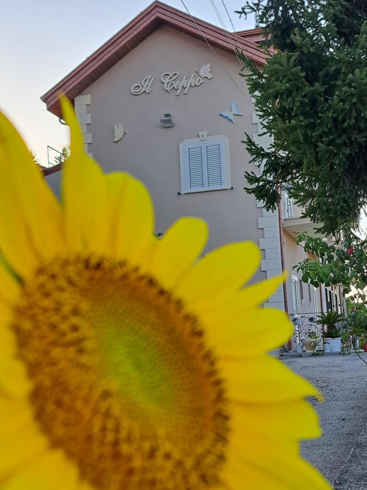 Il Ceppo Sui Sentieri Per Amalfi Acomodação com café da manhã Pimonte Exterior foto